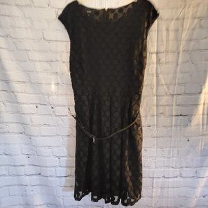 Alfani, Size XL, Black w/Sheer Black Polka Dot Overlay Dress